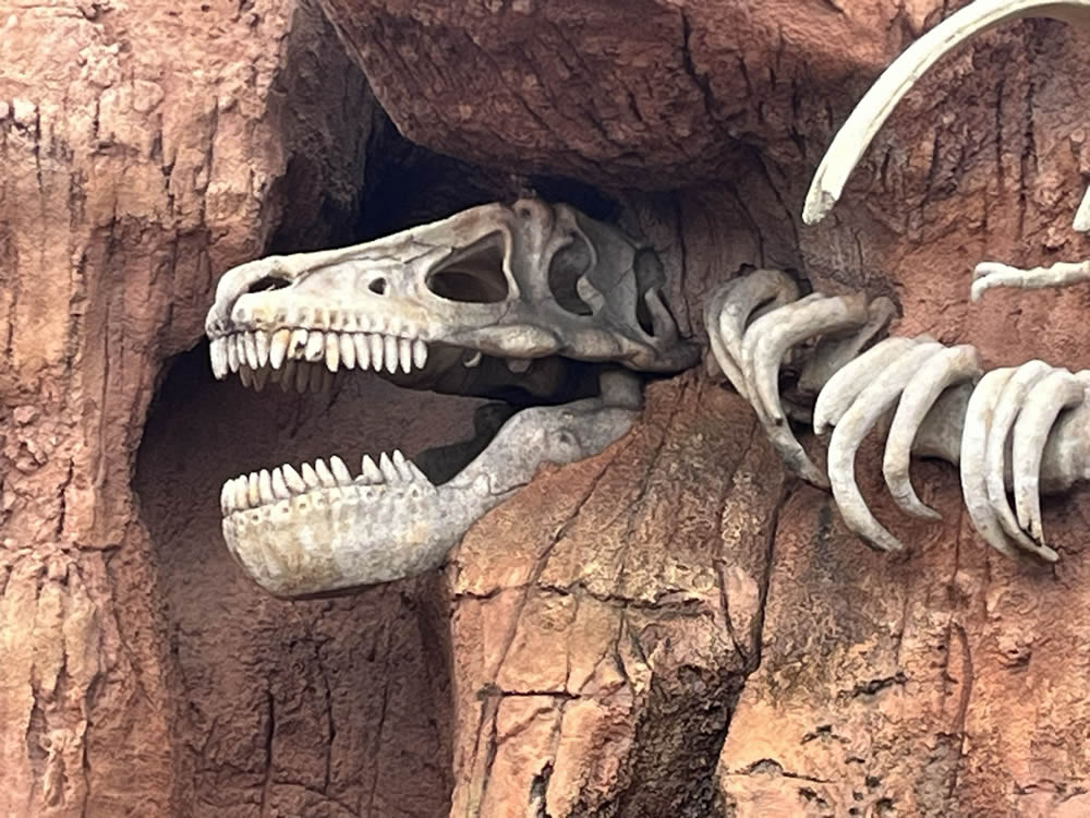 Big Thunder Mountain